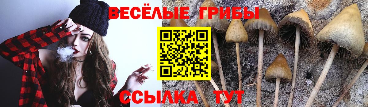 Псилоцибиновые грибы ЛСД Донецк