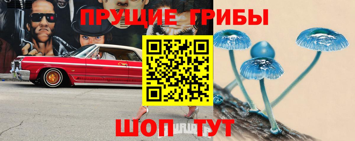 Псилоцибиновые грибы прущие грибы  Вход с VPN  Донецк 
